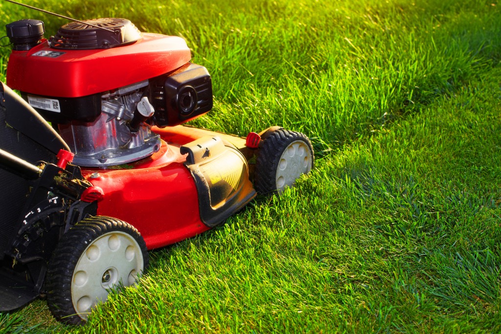 lawn mower on the grass